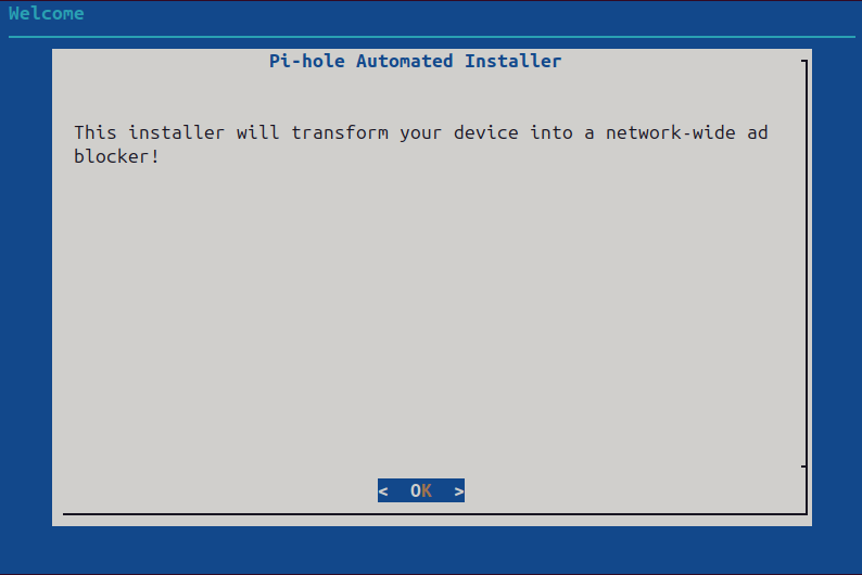 A slide from the Pi-hole installation wizard.