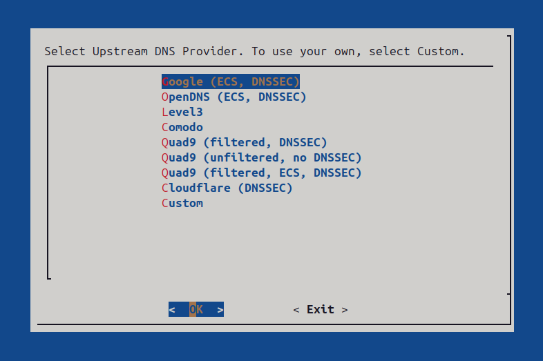 A slide from the Pi-hole installation wizard.